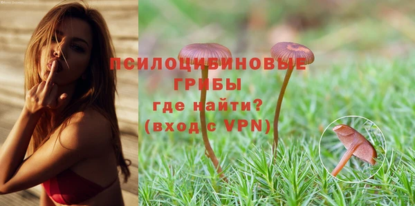 таблы Алексеевка